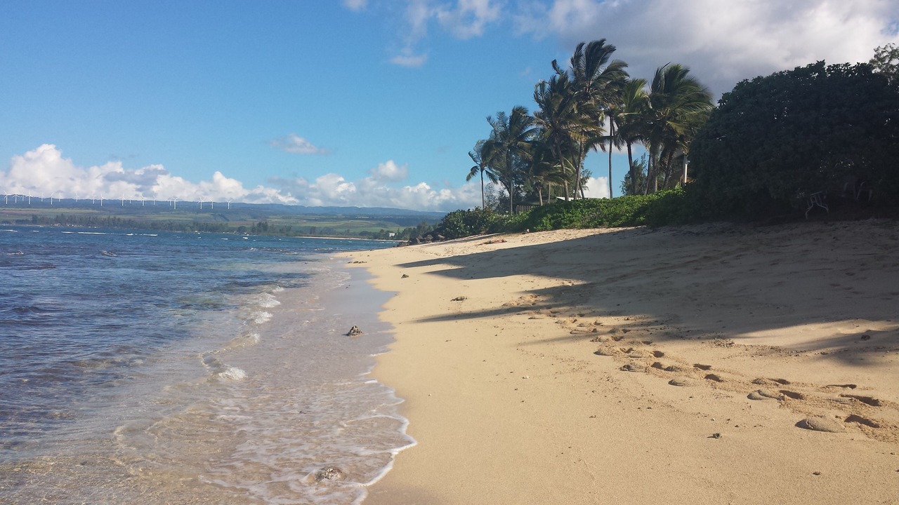 Photo of Others in Mokuleia