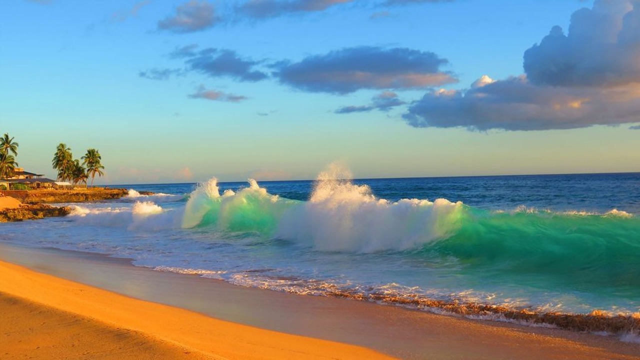 Photo of Others in Makaha