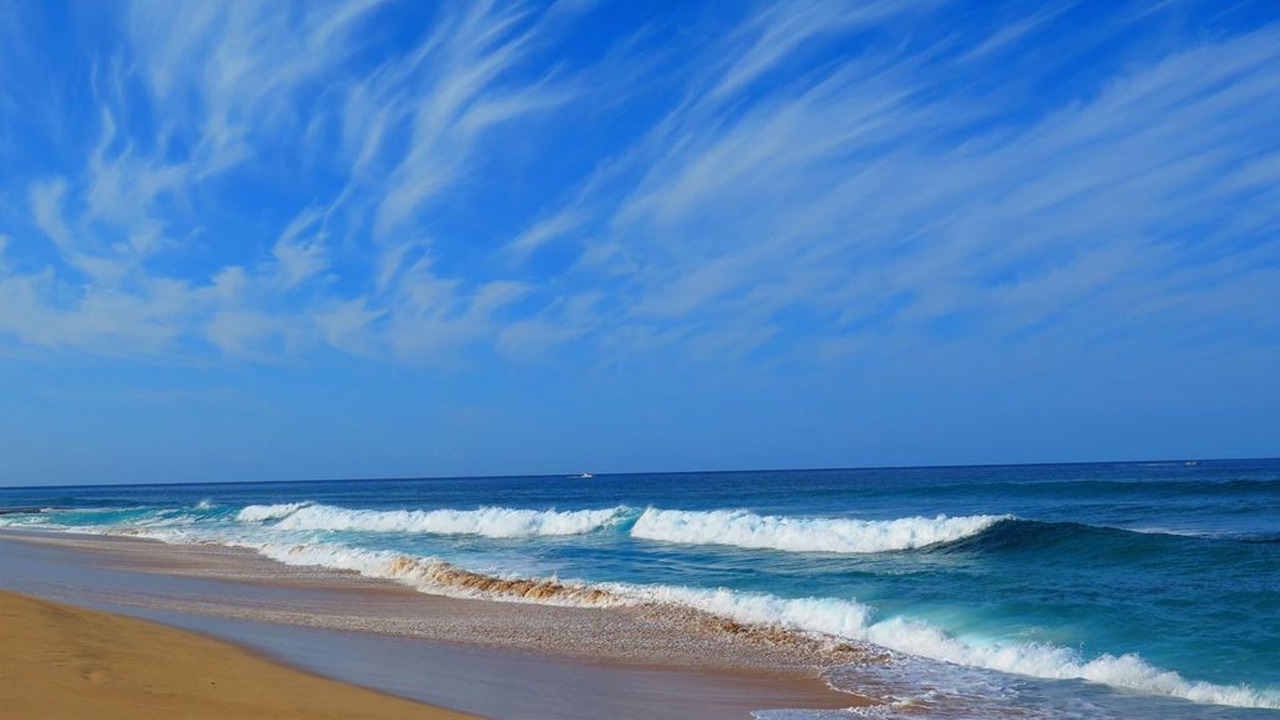 Photo of Others in Makaha