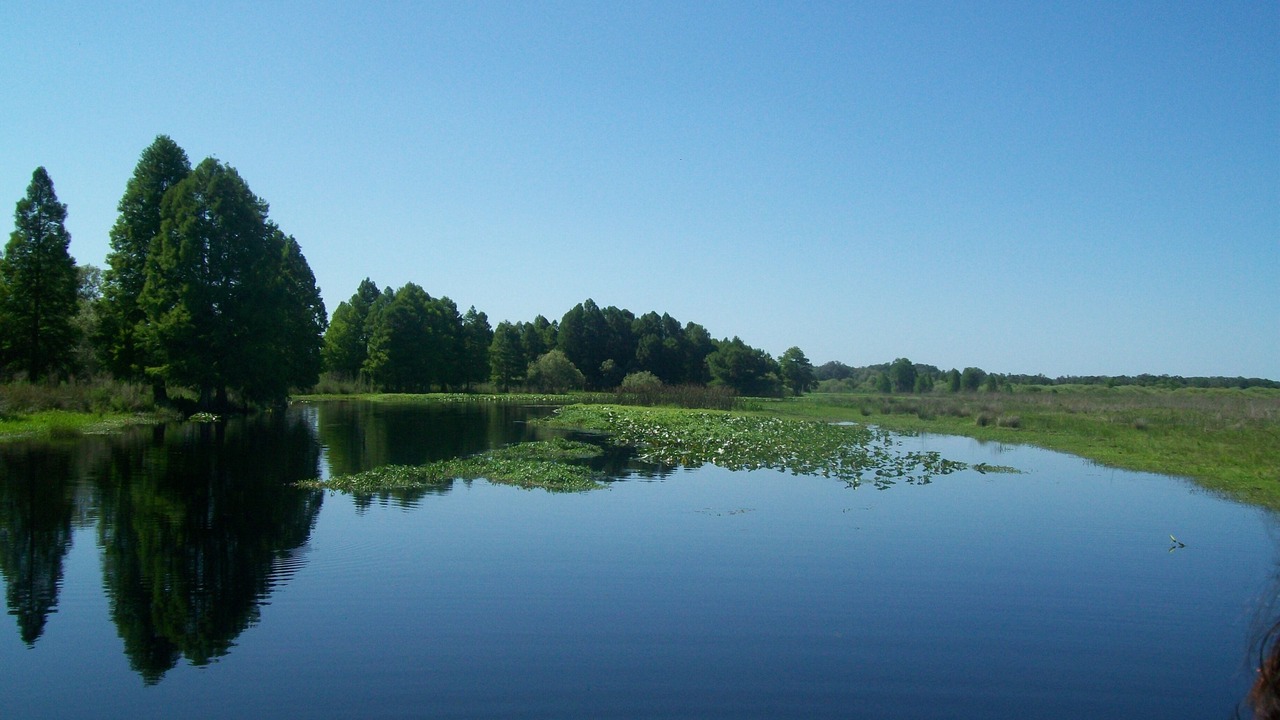 Photo of Outdoor in Haines City