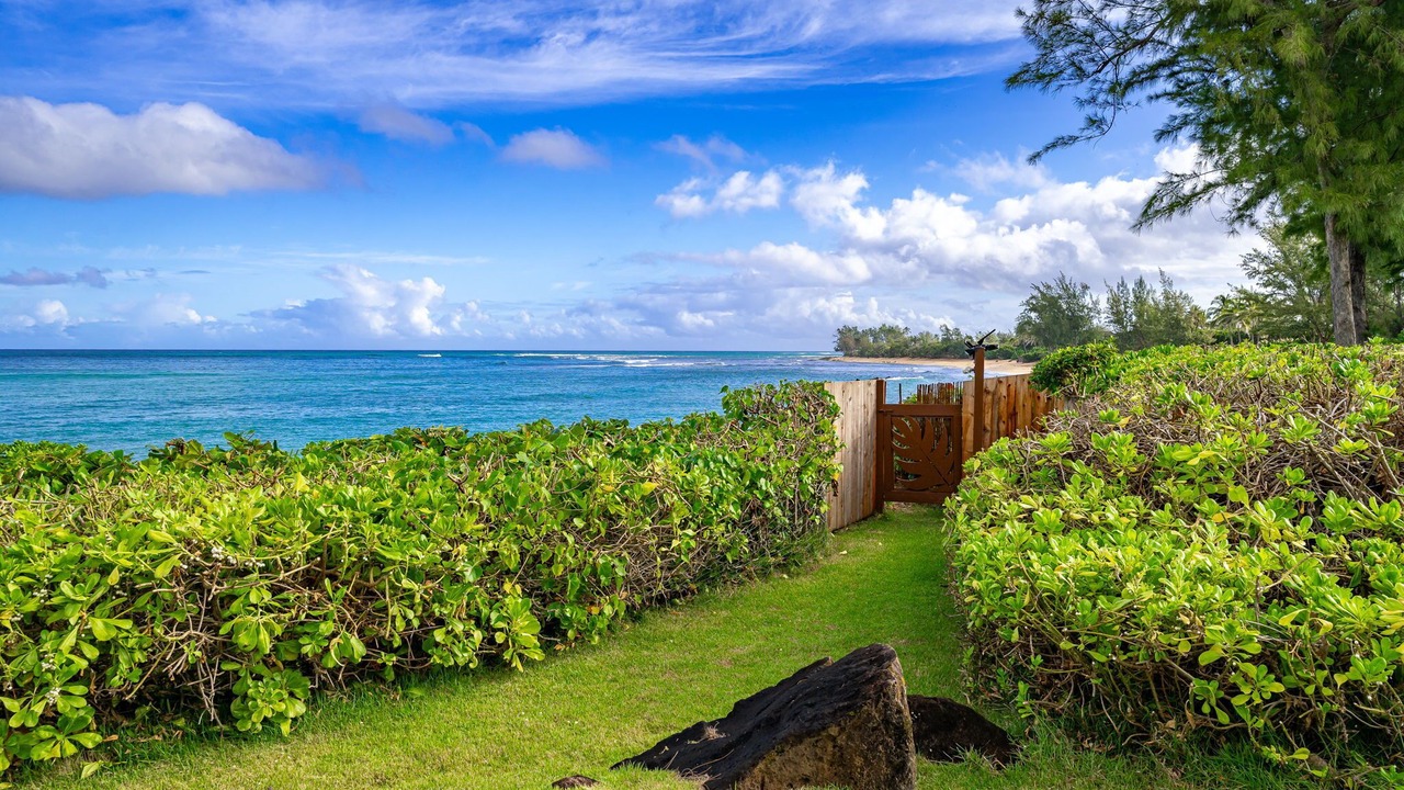 Photo of Outdoor in Pupukea