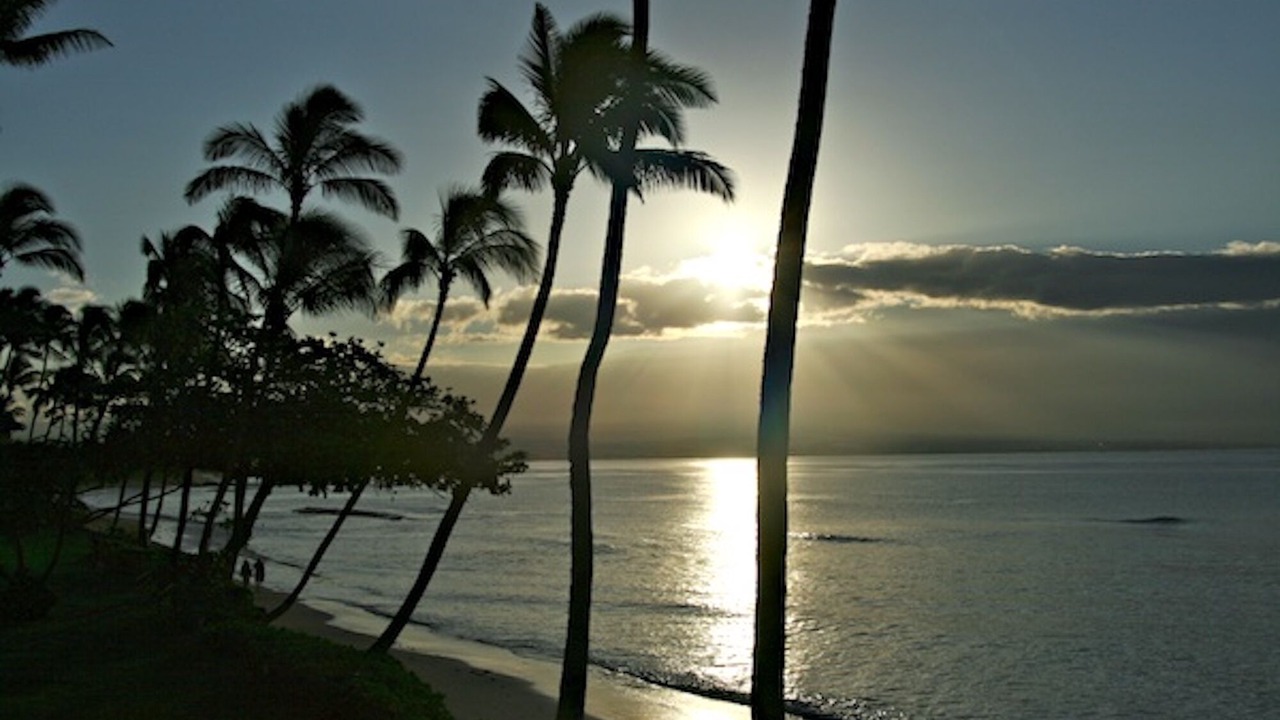 Photo of Others in Maalaea