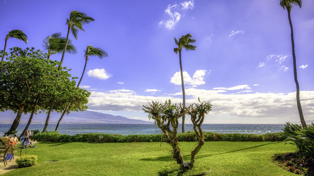Photo of Outdoor in Maalaea