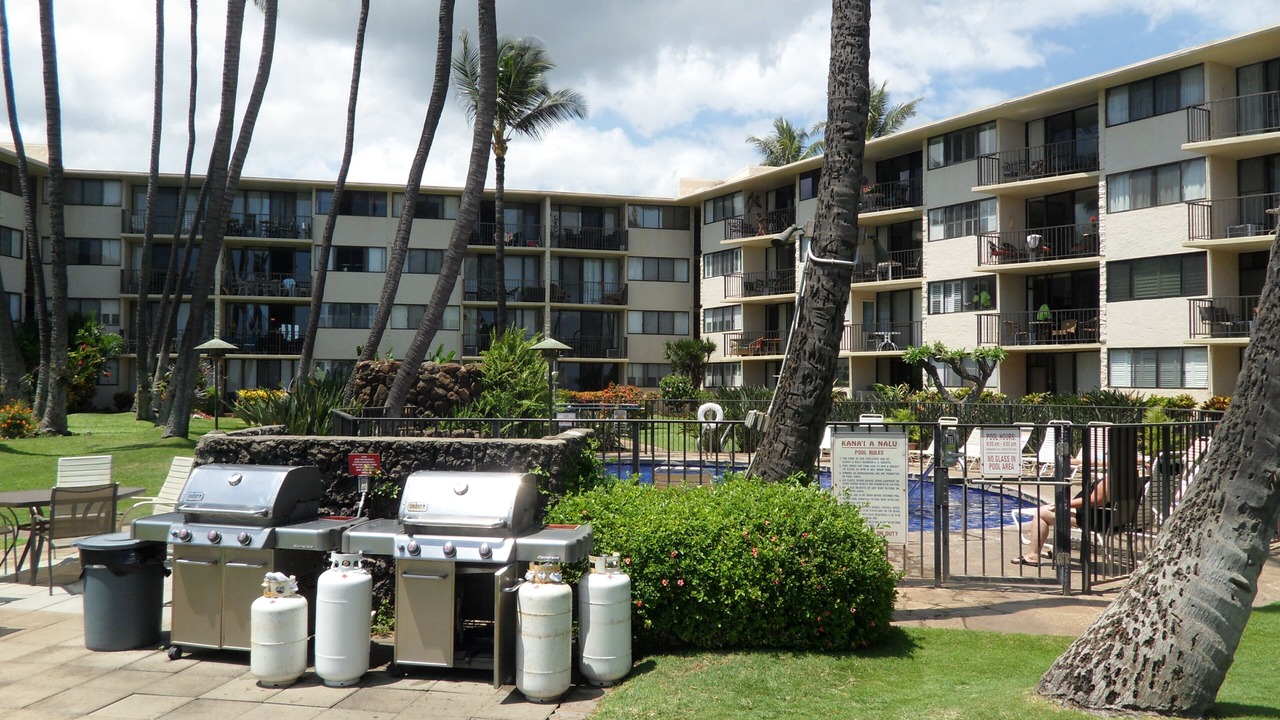 Photo of Outdoor in Maalaea