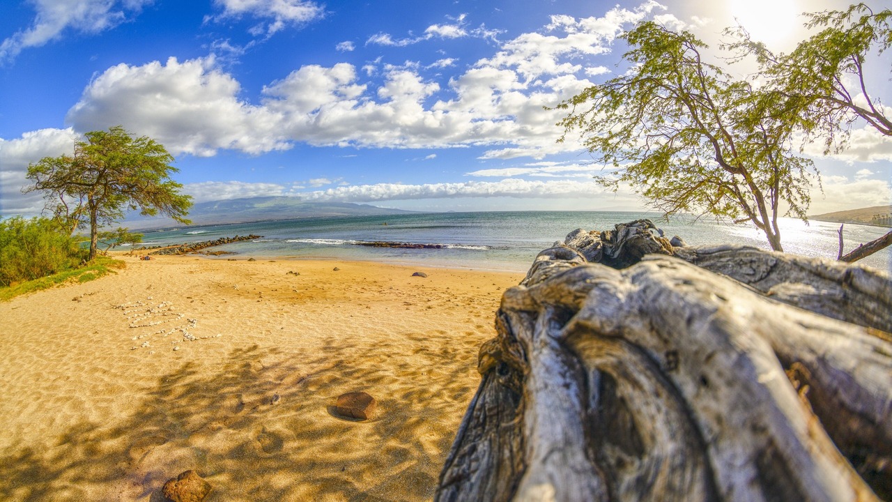 Photo of Others in Maalaea
