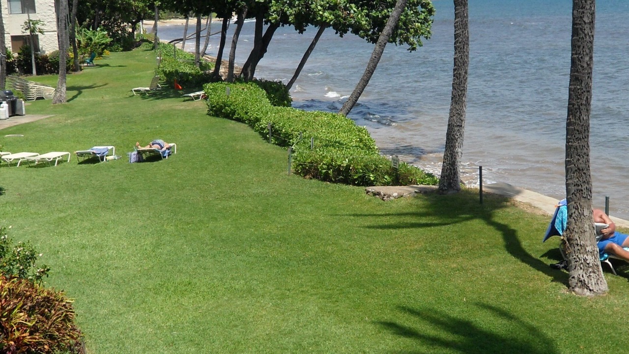 Photo of Others in Maalaea