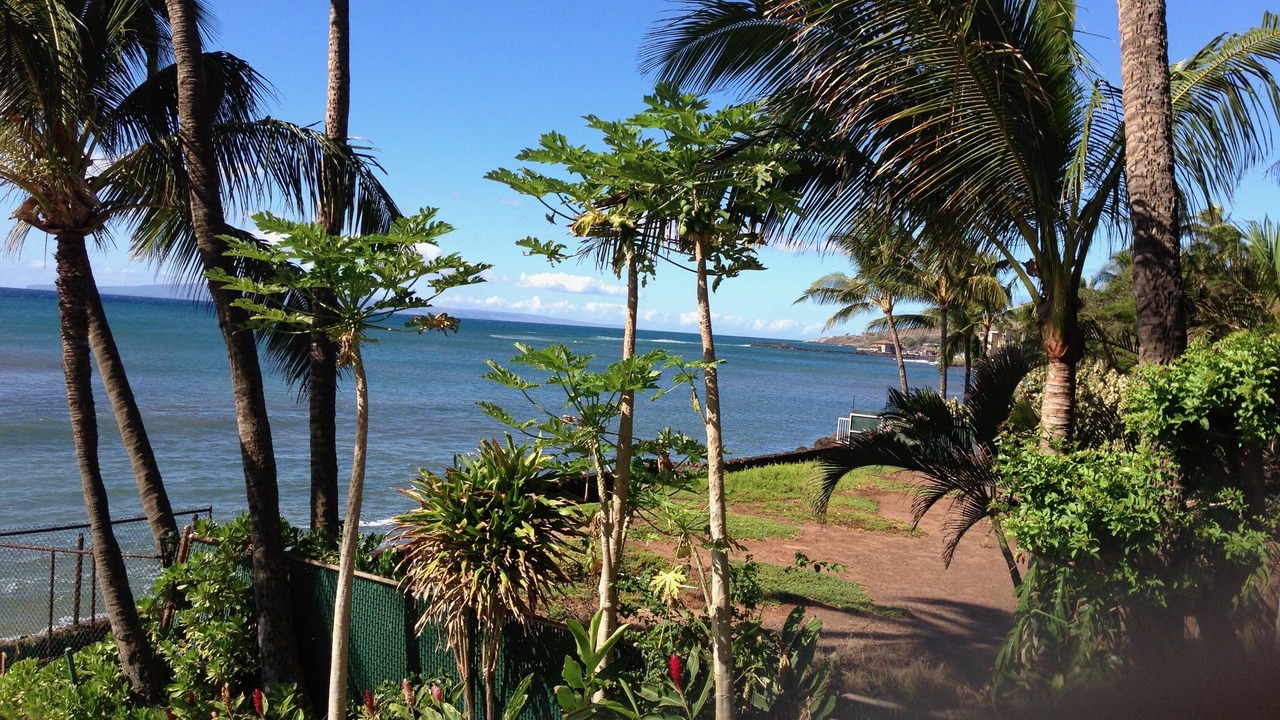 Photo of Others in Maalaea