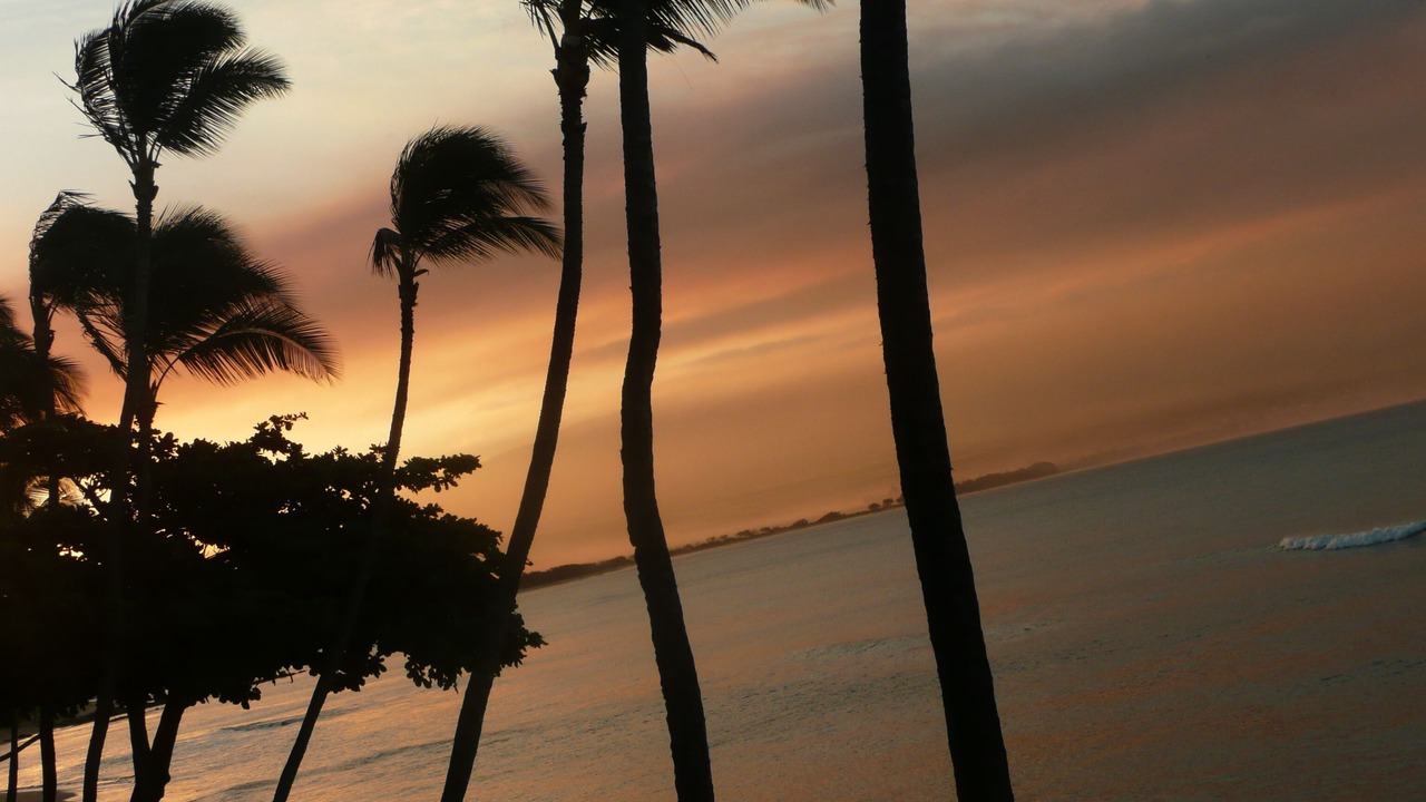 Photo of Others in Maalaea