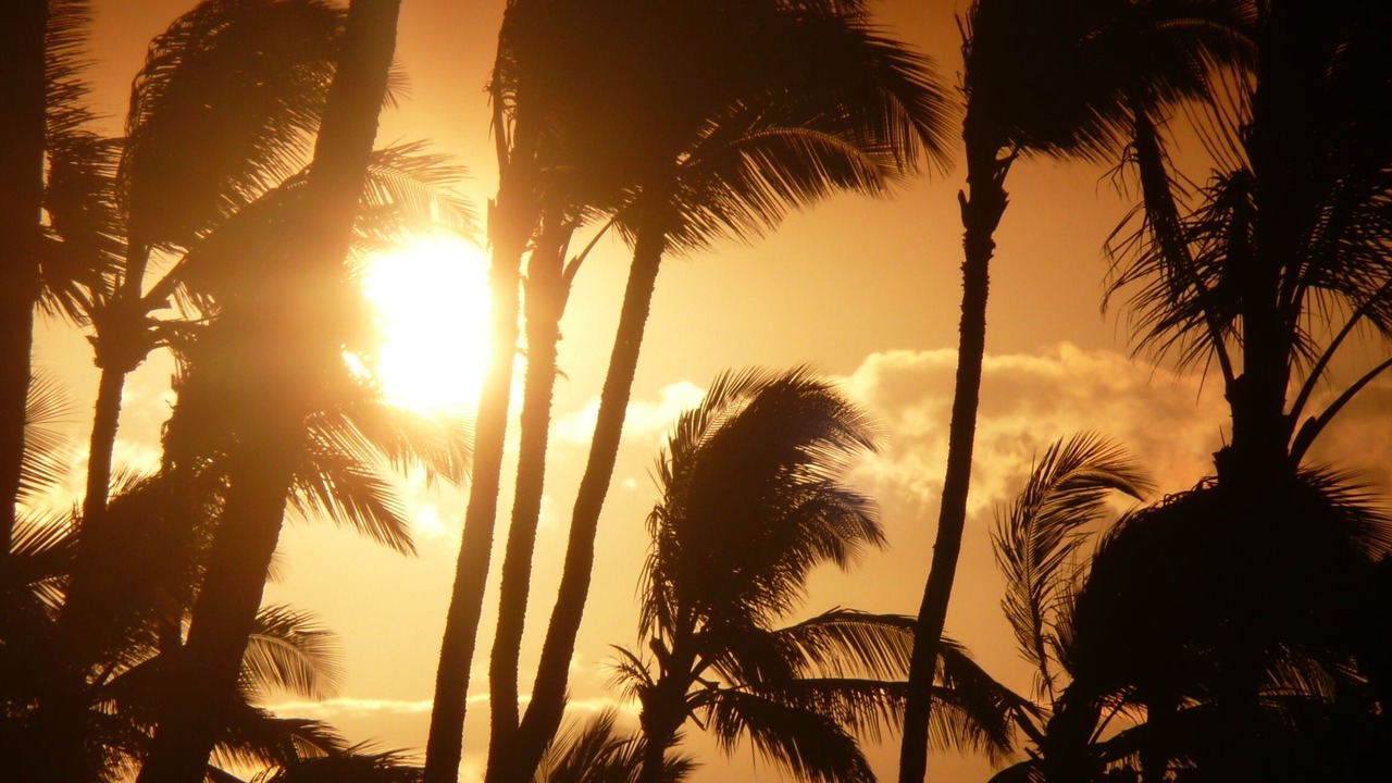 Photo of Others in Maalaea