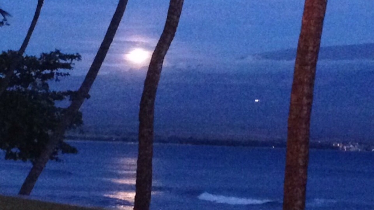 Photo of Others in Maalaea
