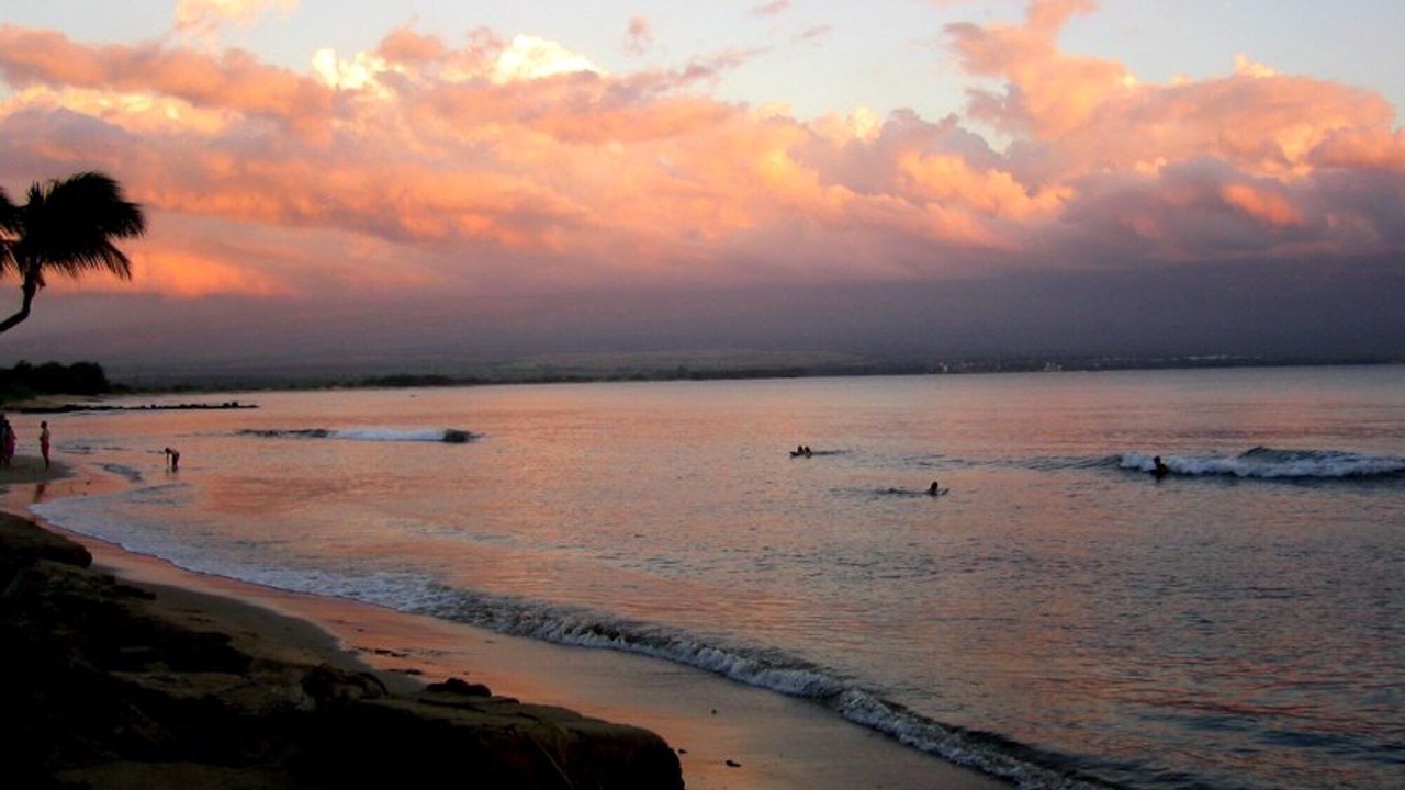 Photo of Others in Maalaea