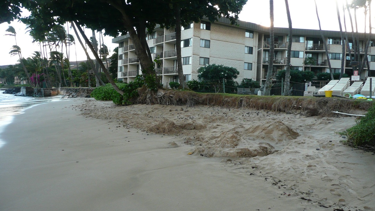 Photo of Others in Maalaea