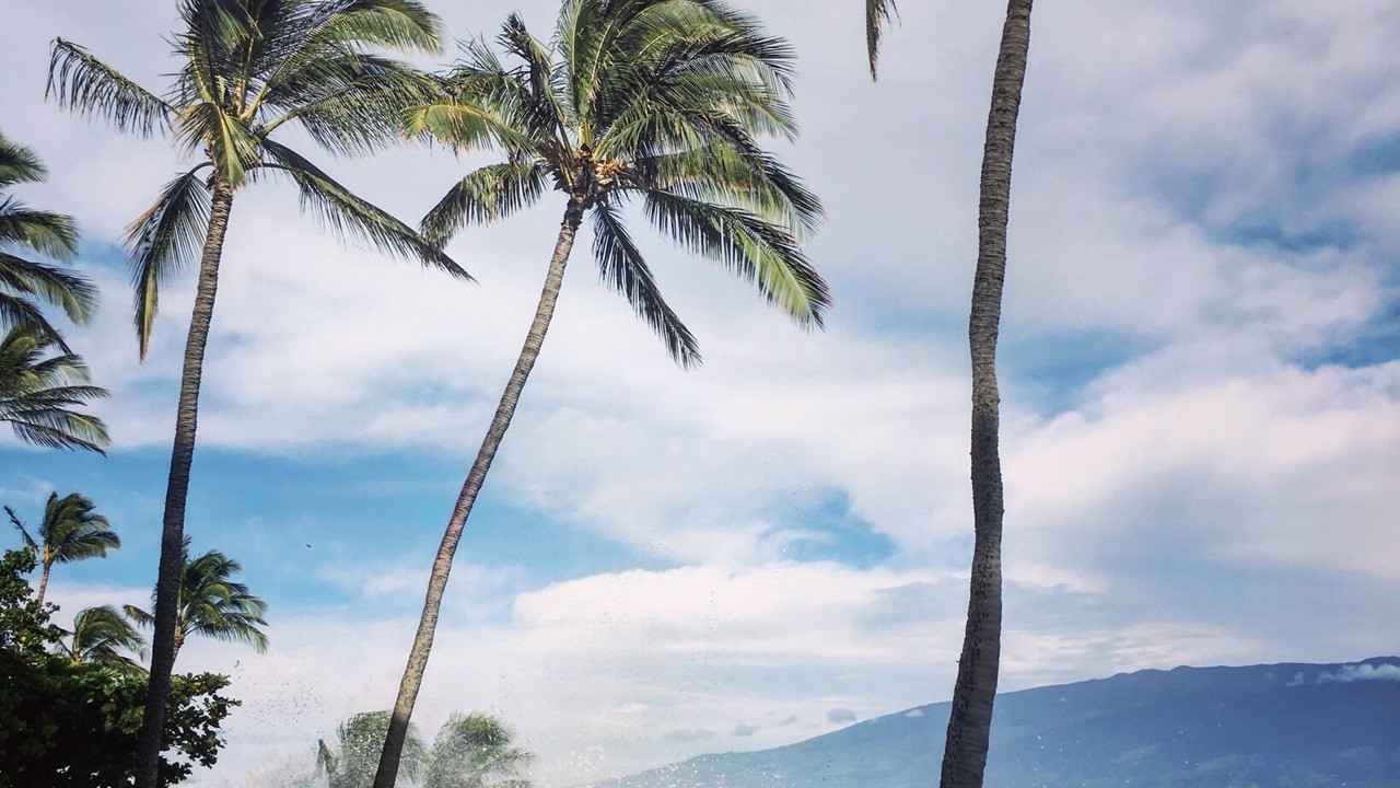 Photo of Others in Maalaea