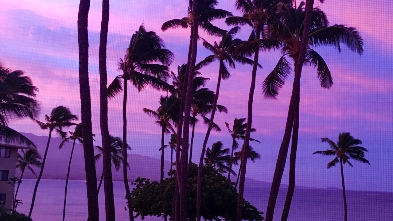 Photo of Others in Maalaea