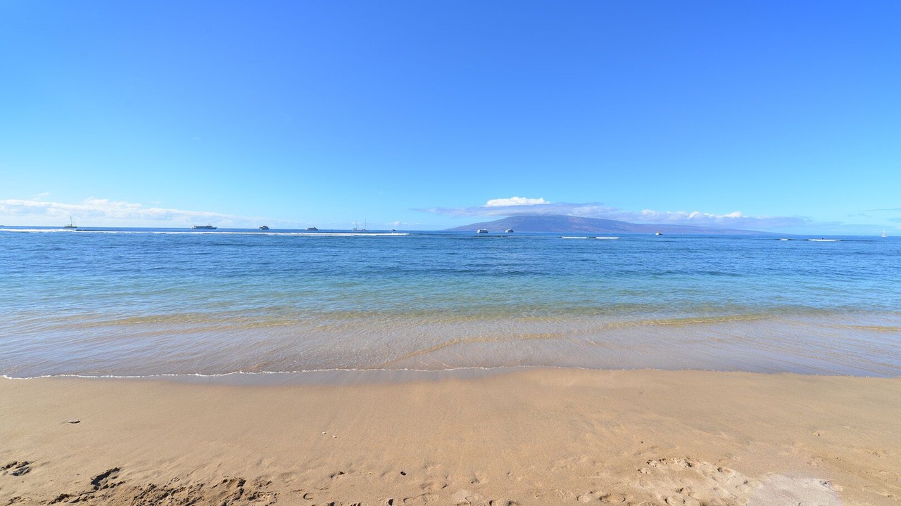 Photo of Others in Historic Lahaina Front Street