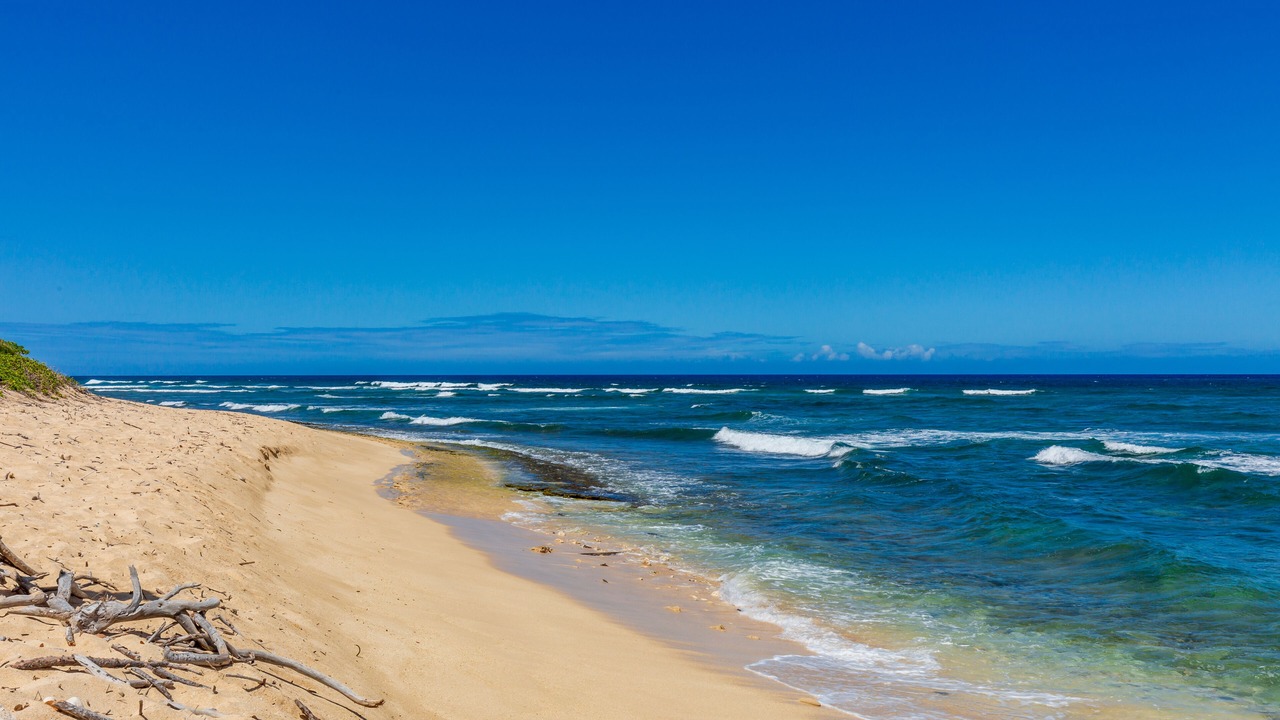 Photo of Others in Waialua