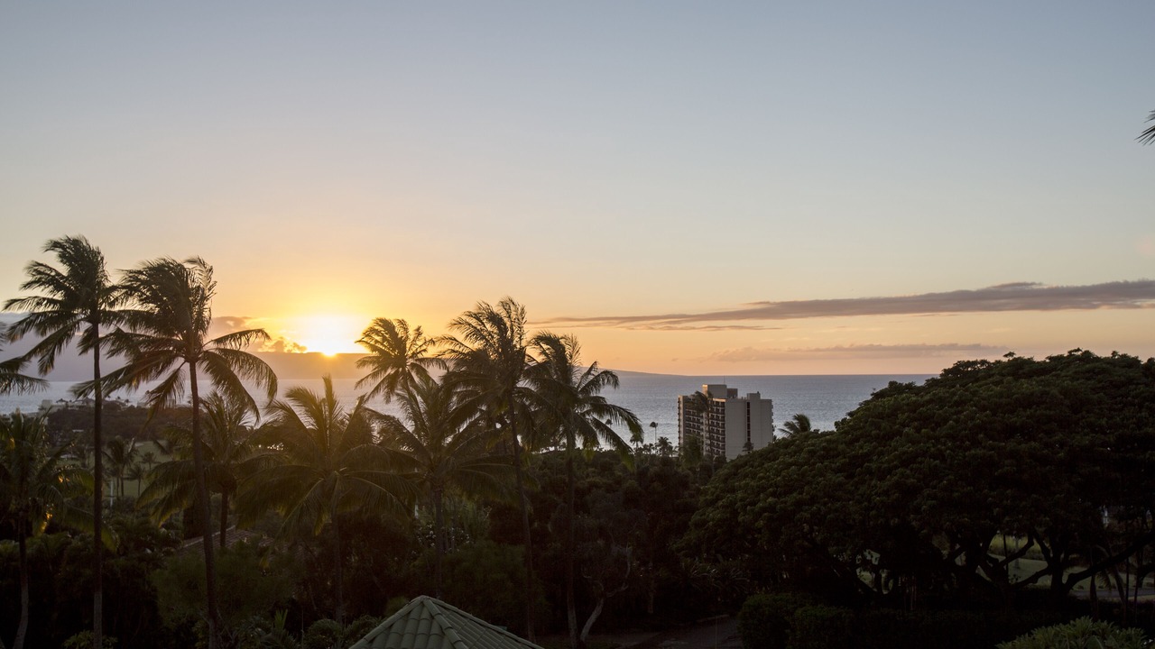 Photo of Others in Kaanapali