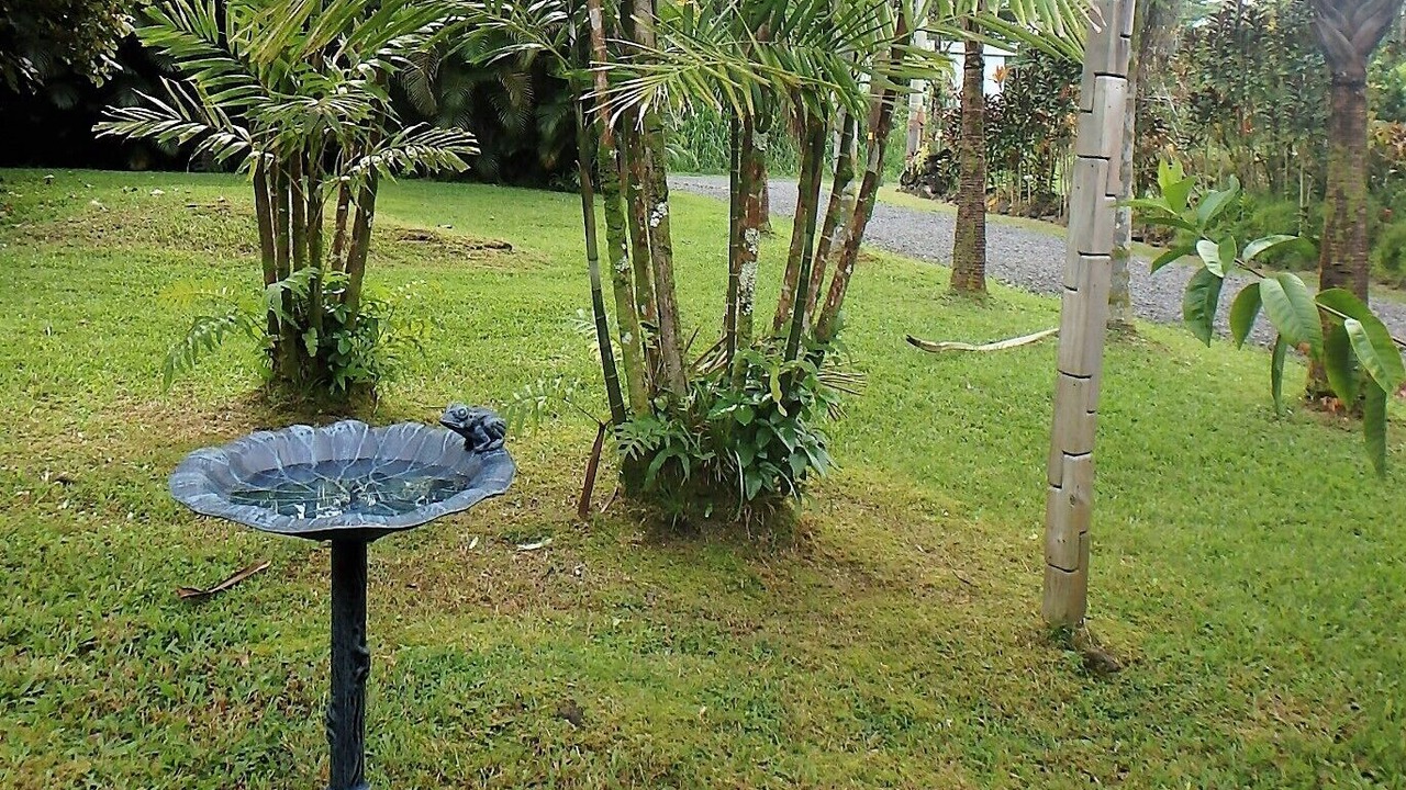 Photo of Others in Kapoho