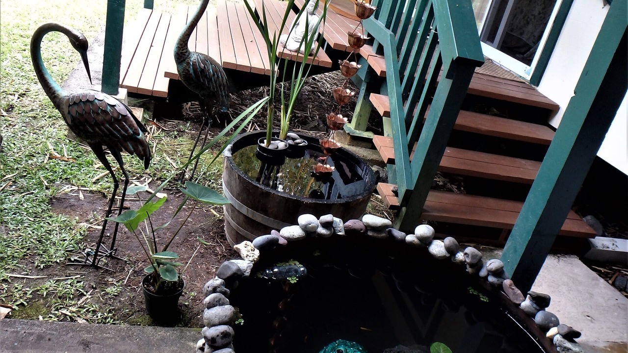 Photo of Outdoor in Kapoho