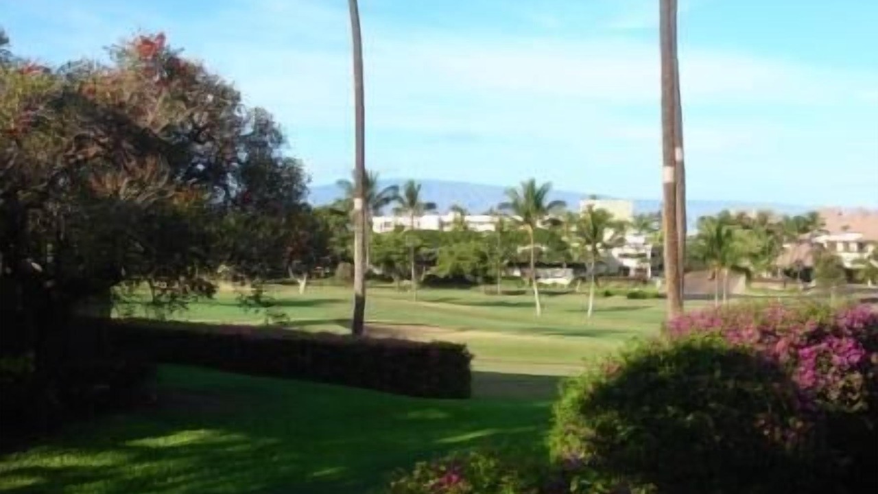 Photo of Others in Kaanapali