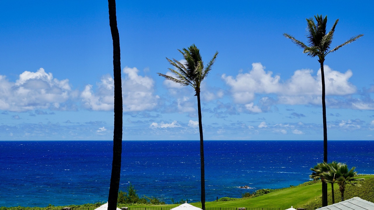 Photo of Others in Napili
