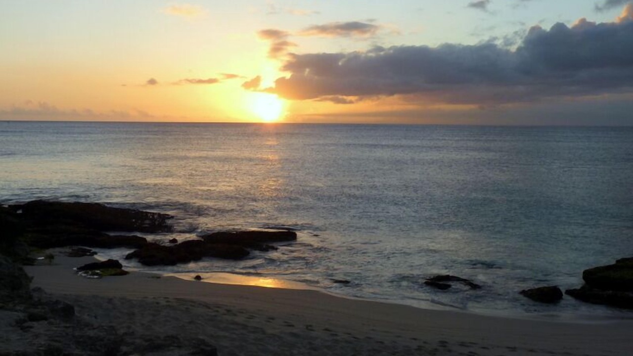 Photo of Others in Ko Olina