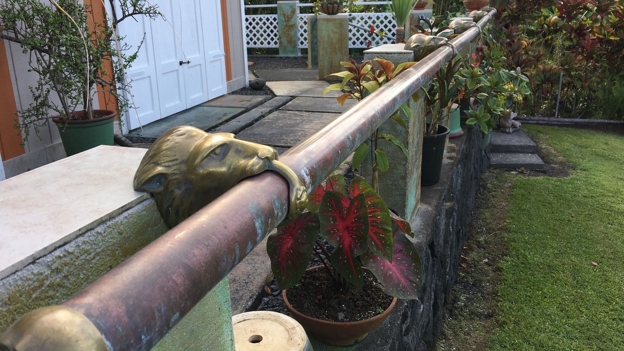 Photo of Outdoor in Kapoho
