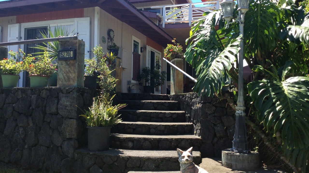 Photo of Others in Kapoho