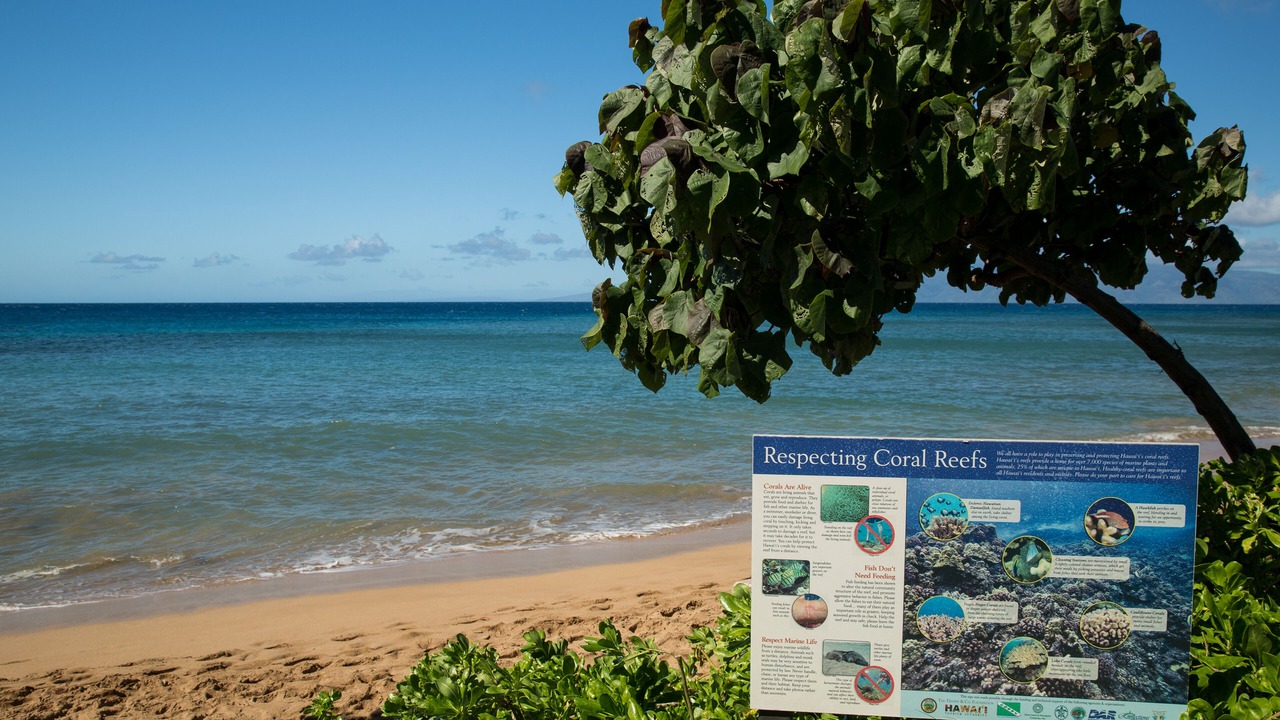 Photo of Others in Honokowai
