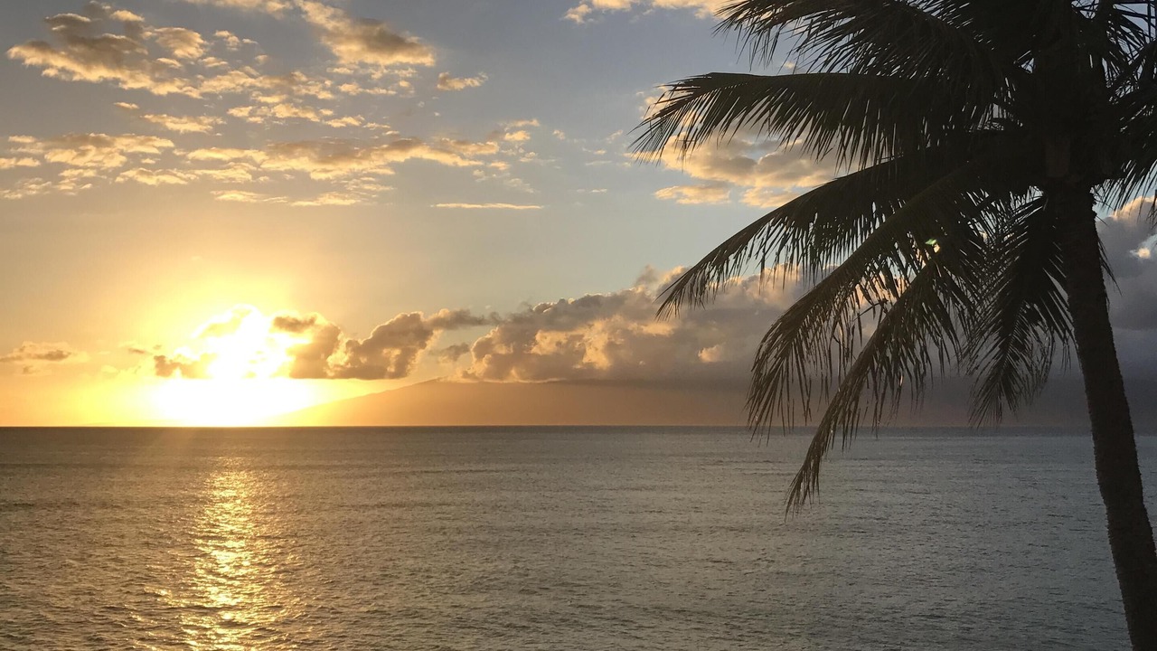 Photo of Others in Kahana