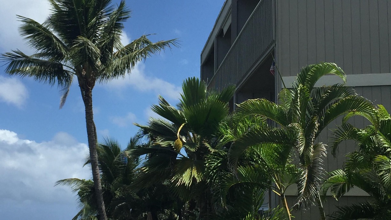 Photo of Others in Kahana