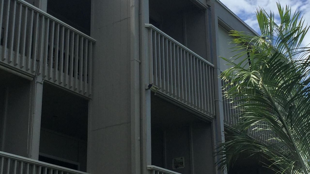 Photo of Others in Kahana
