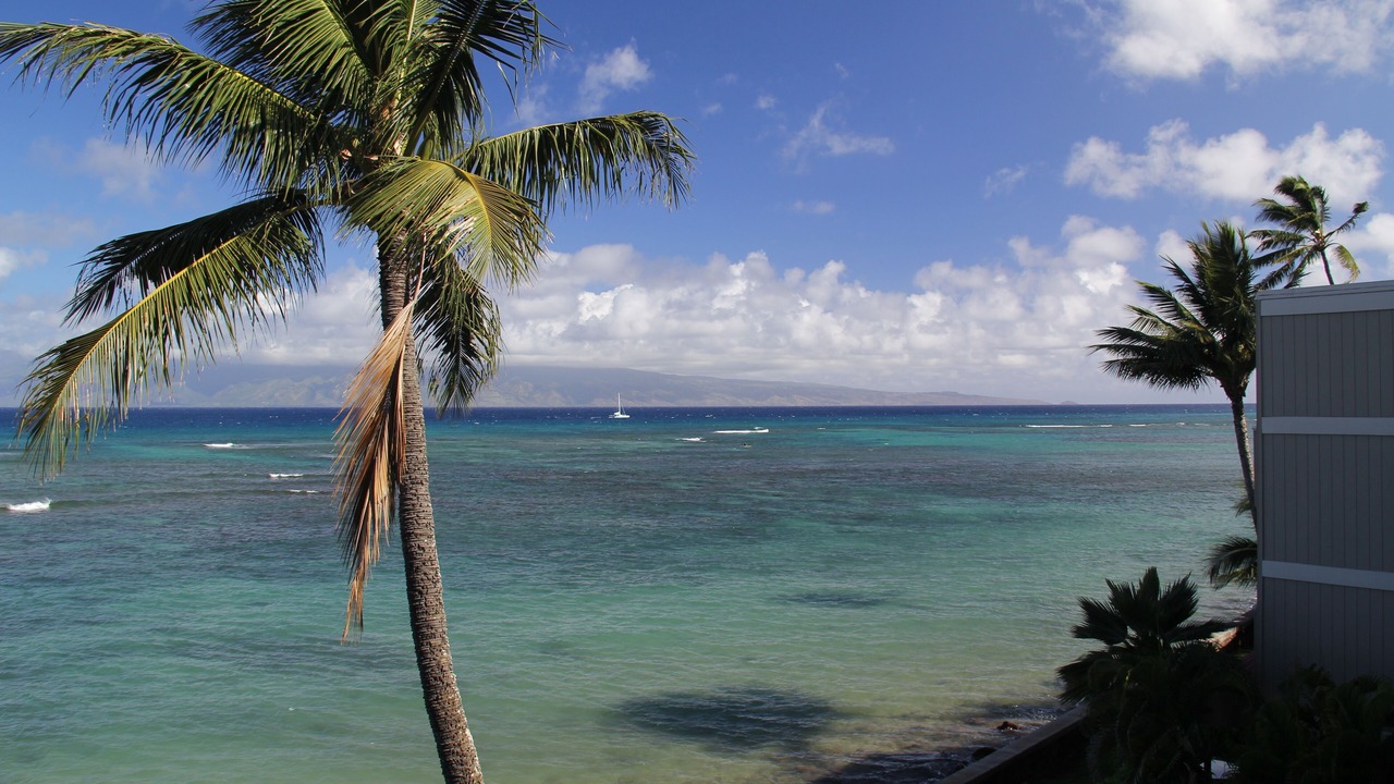 Photo of Others in Kahana