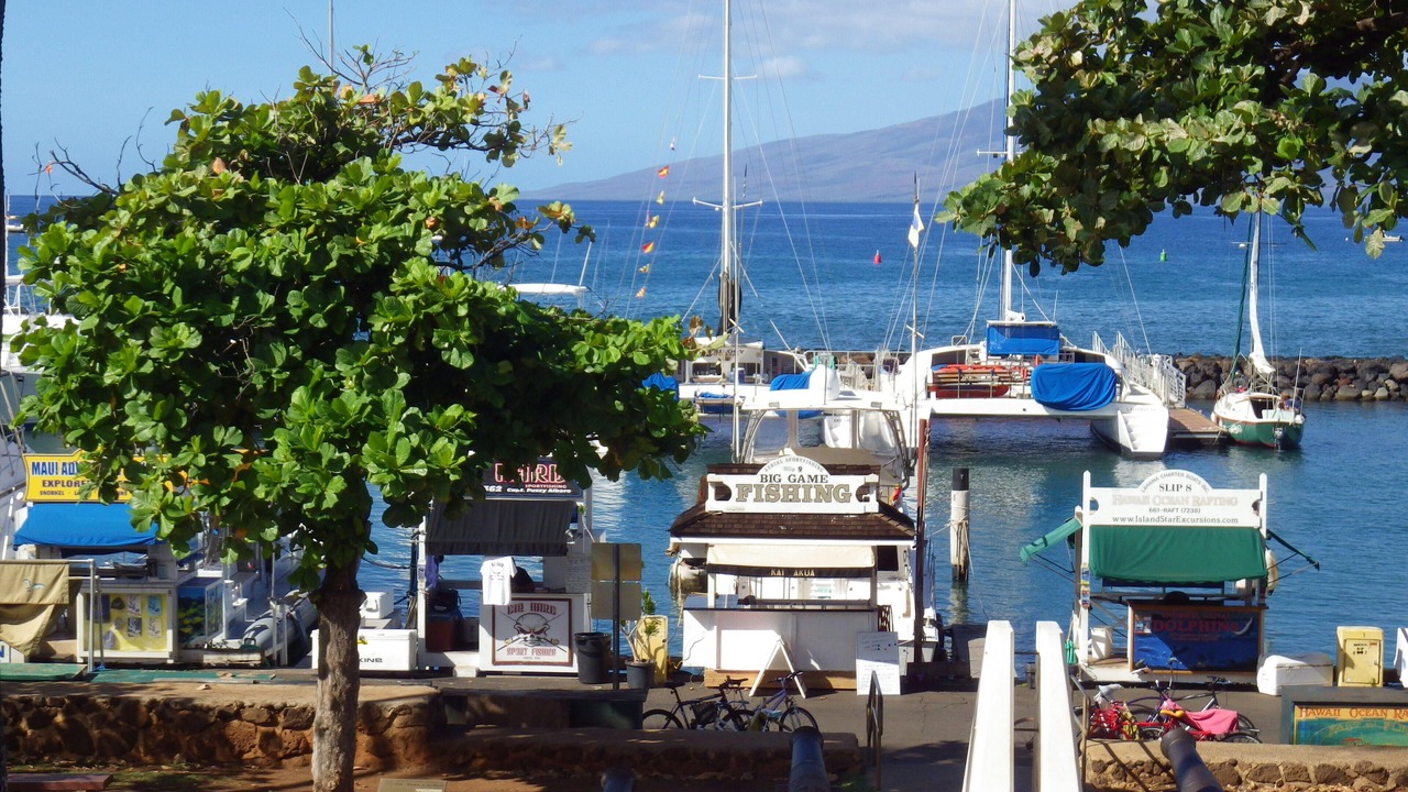 Photo of Others in Historic Lahaina Front Street
