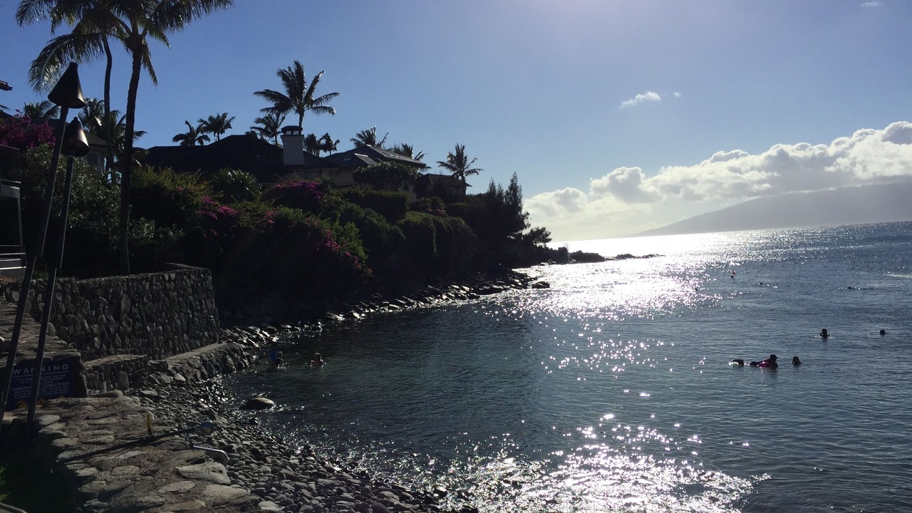 Photo of Others in Napili