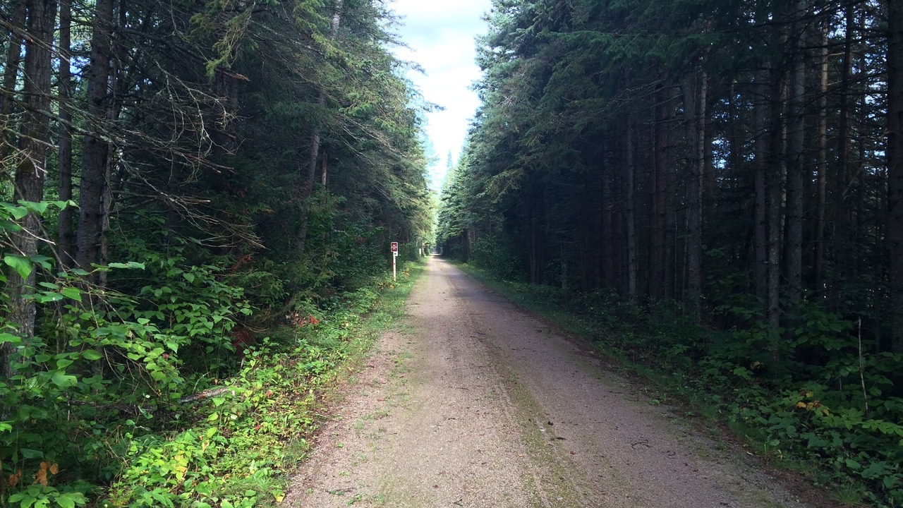Photo of Others in Cheboygan