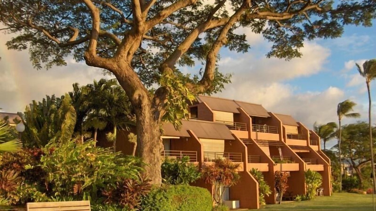 Photo of Outdoor in Kahana