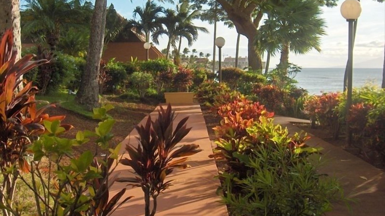 Photo of Others in Kahana