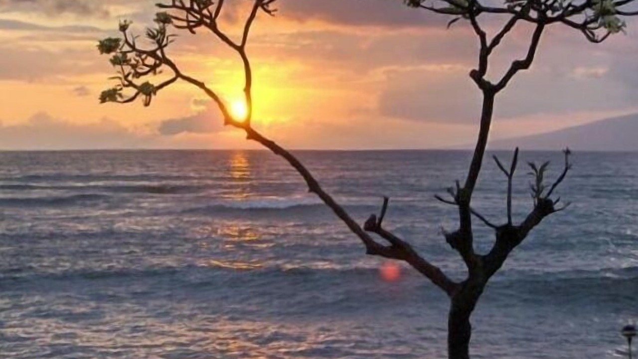 Photo of Others in Kahana