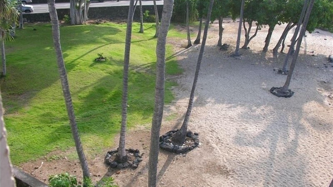 Photo of Others in Historic Kailua Village