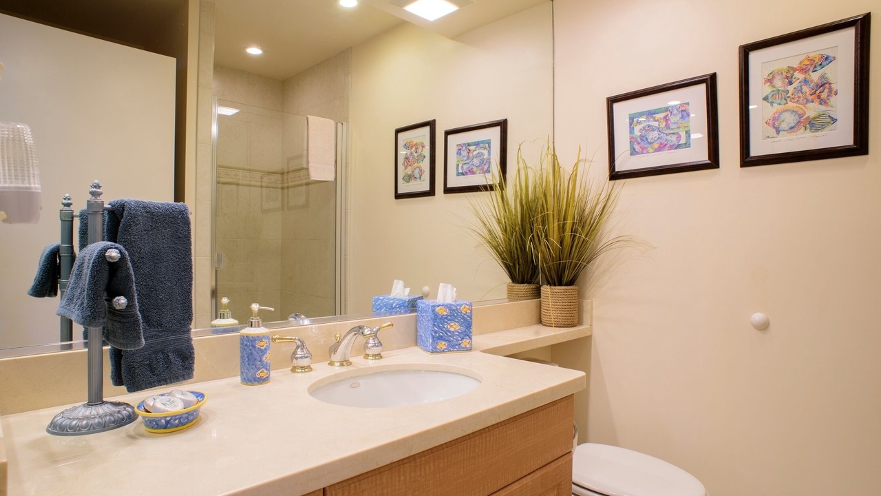 Photo of Bathroom in Kapalua