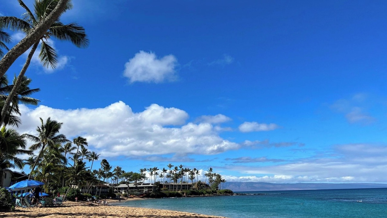 Photo of Others in Kapalua