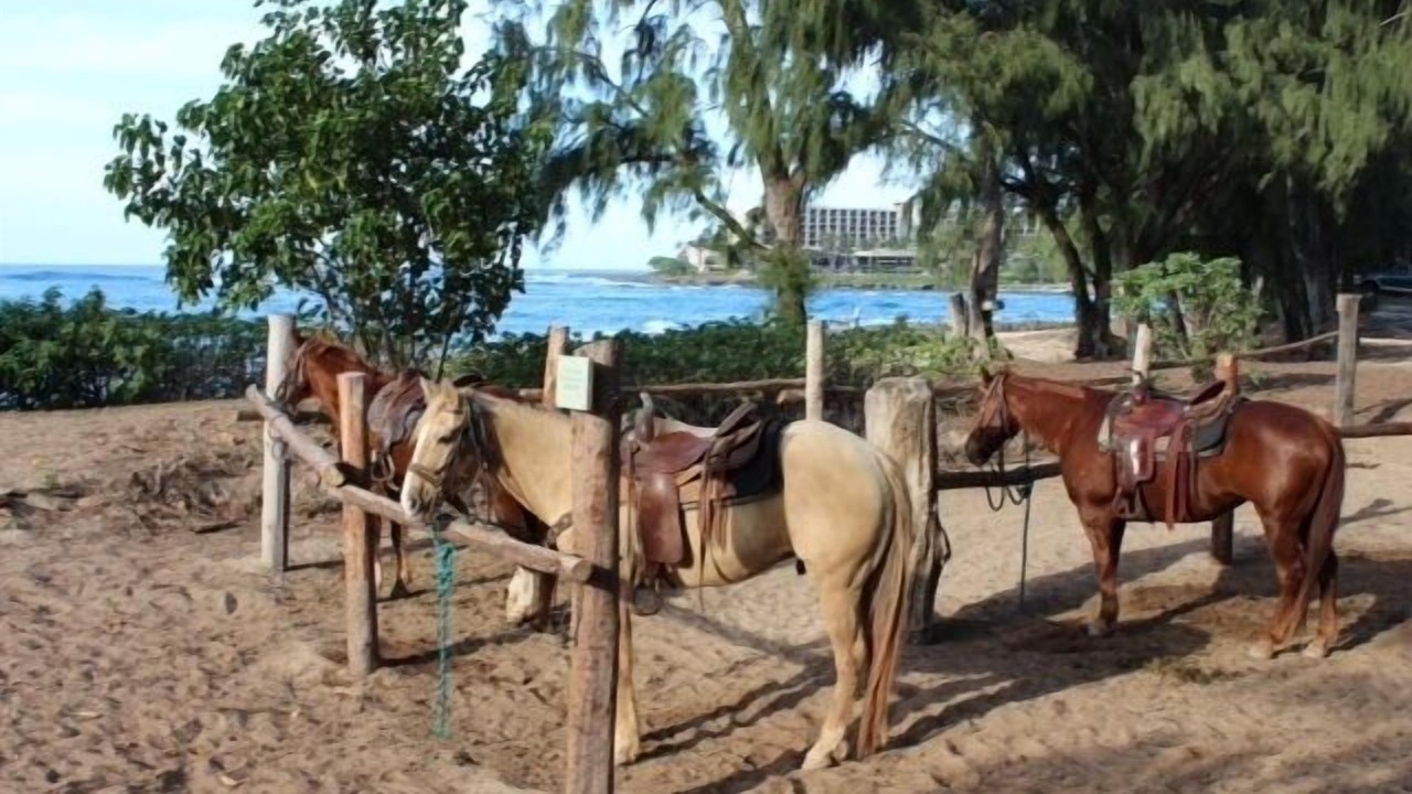 Photo of Others in Kahuku
