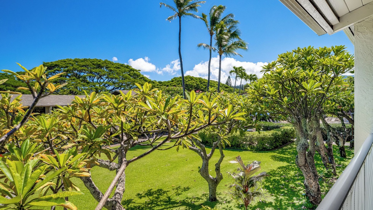 Photo of Outdoor in Napili