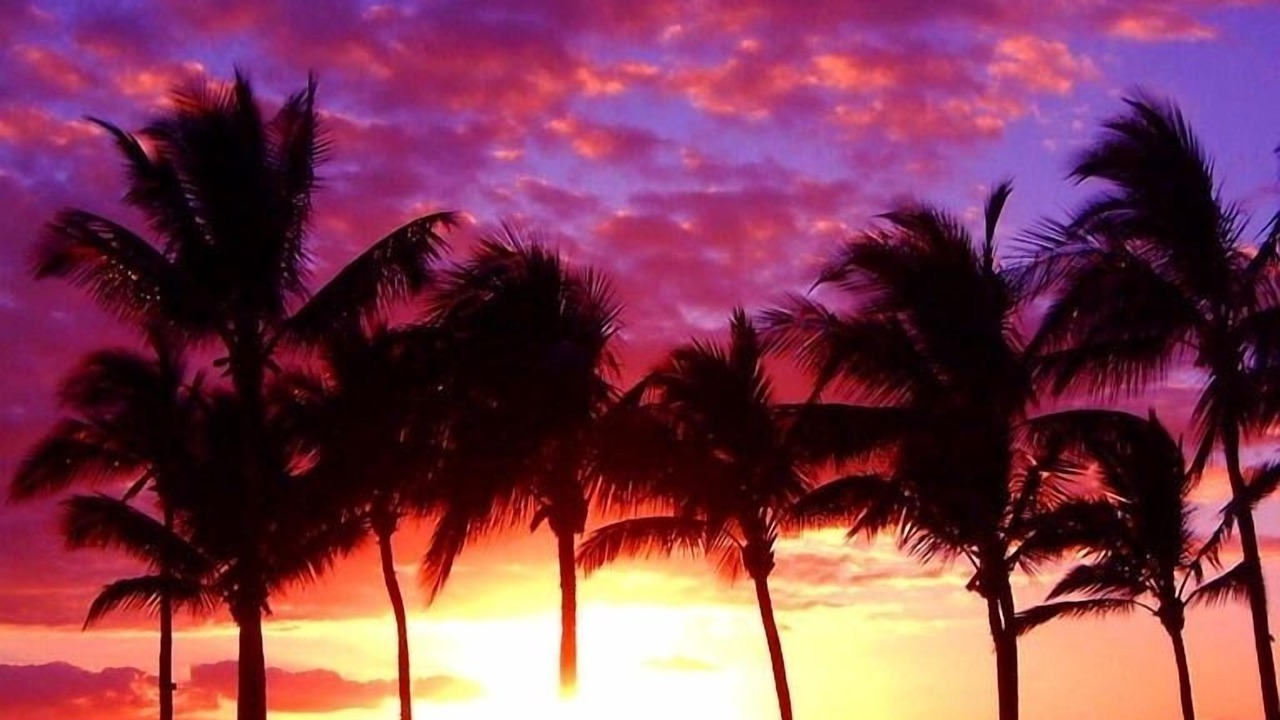 Photo of Others in Maalaea