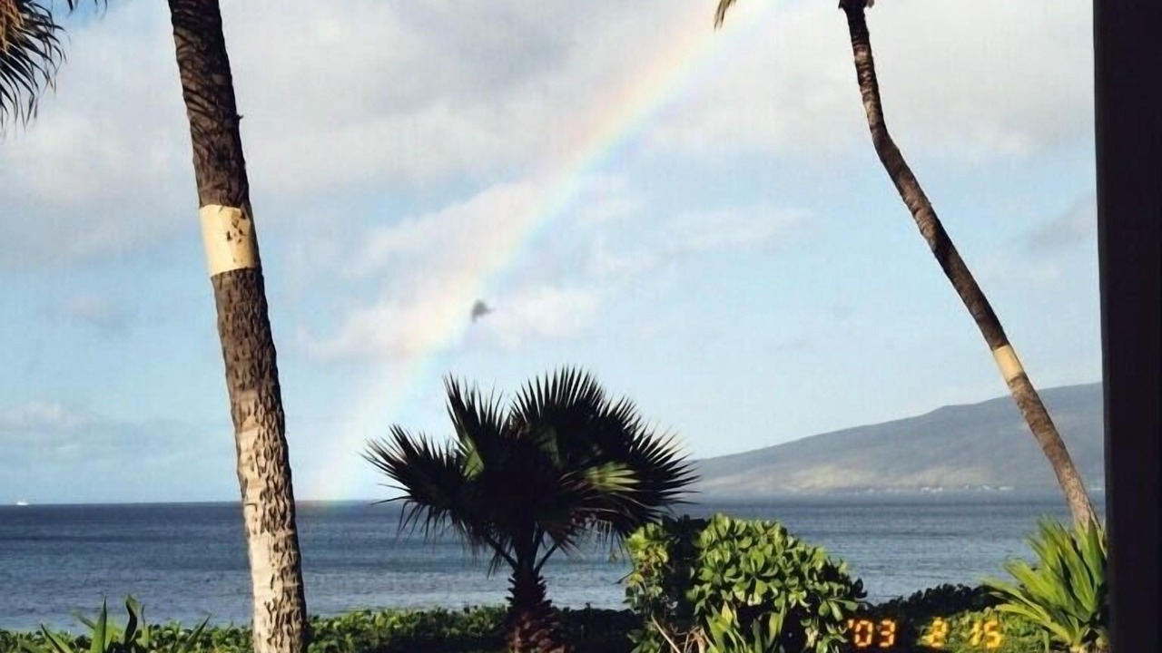 Photo of Others in Maalaea
