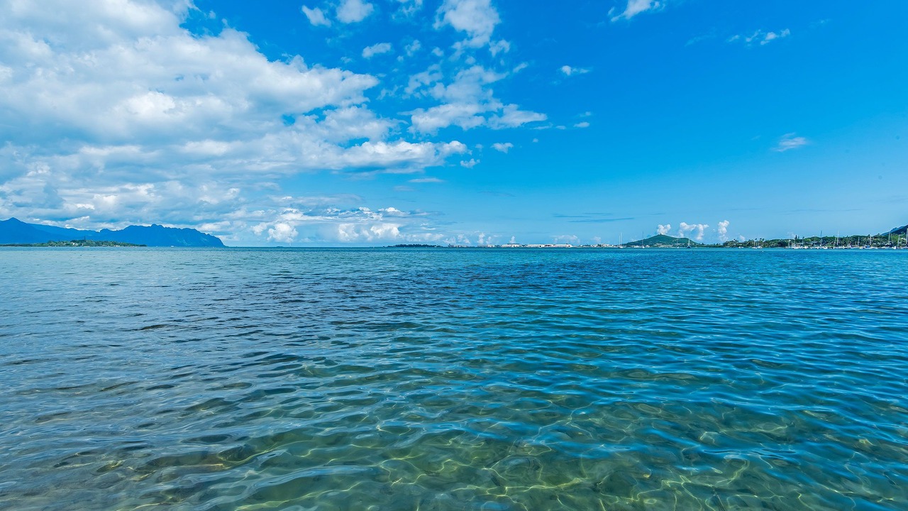 Photo of Others in Kaneohe