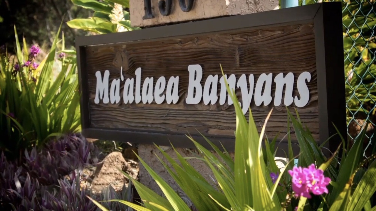 Photo of Outdoor in Maalaea