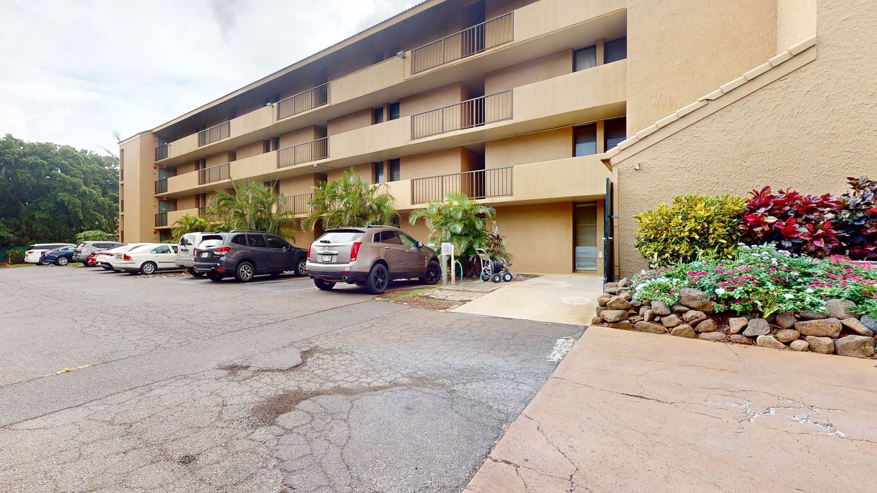 Photo of Others in Maalaea