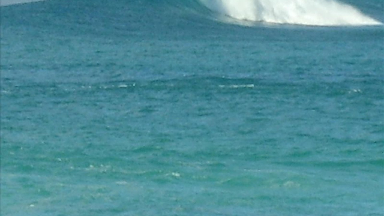 Photo of Others in Pupukea